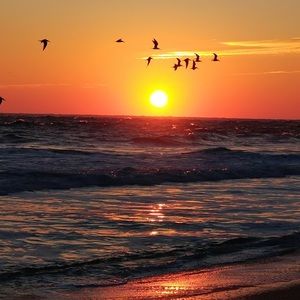 Meet your Posher, Madeline